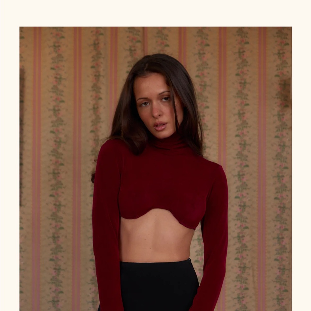 Underwire Turtleneck Top in Sangre